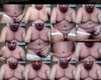 tbear66