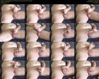 bearhasbigstick