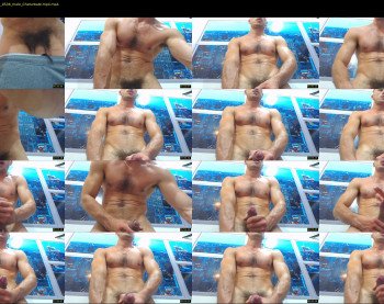 damiann_fox3