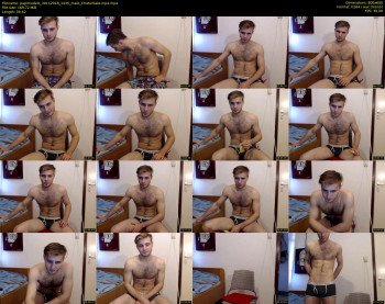 papimodels