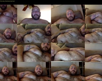 pappa_bear