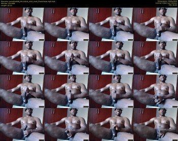 paradise699