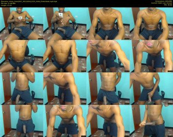 rimay_moss2017