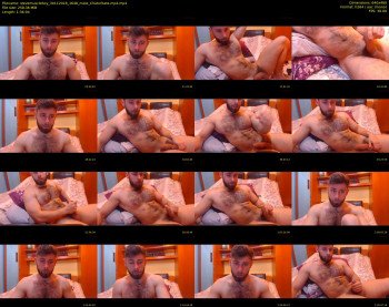 stevemuscleboy