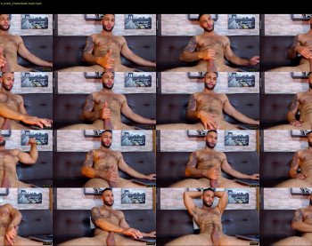 apolo_fox