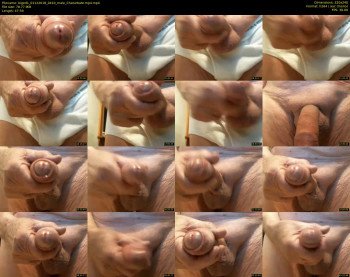 biged1