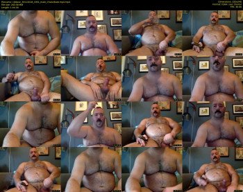 cjbbear