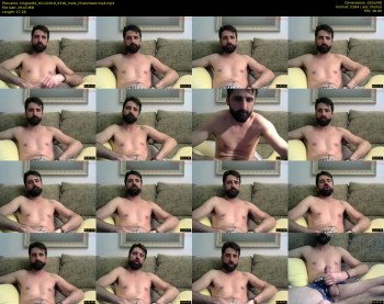 kingcat82