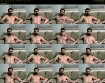 kingcat82
