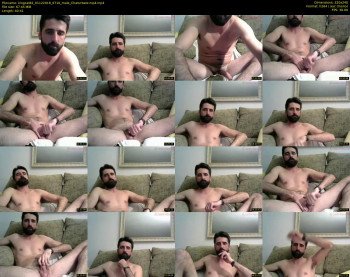 kingcat82