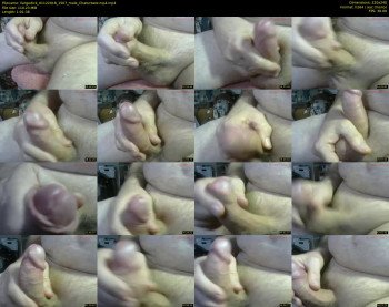llargedick