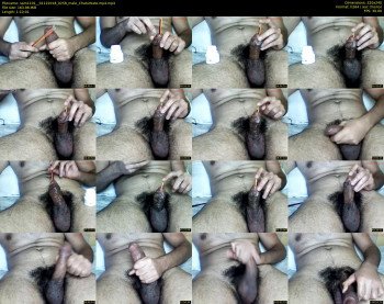sam1101_