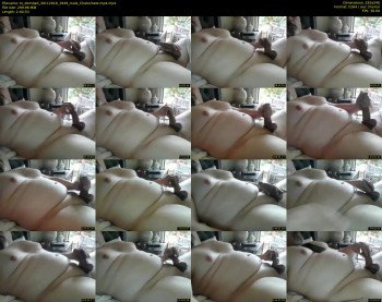 tx_domdad