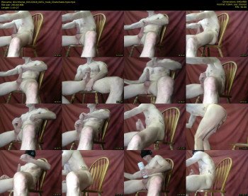 8inchhorse