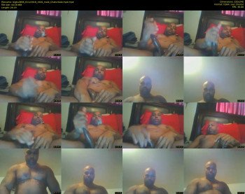 bigbull856