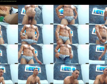 damiann_fox3