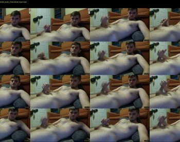 paul_jwildcat