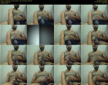 bigbicho7