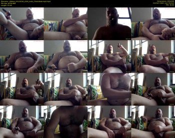 cjbbear