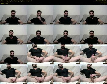 kingcat82