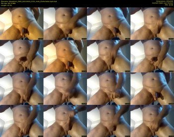 biexplorer_2002