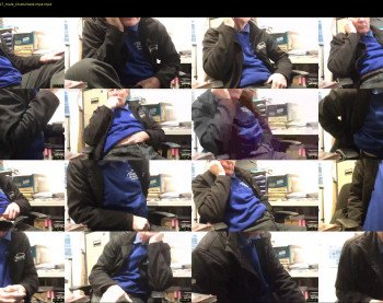 boxerblue