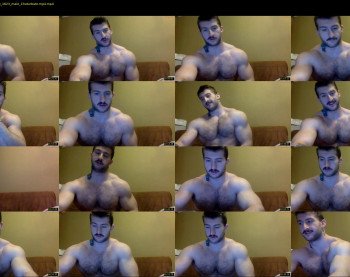 panda_muscle