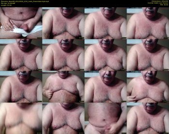 tbear66