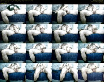 gonzooooooo2