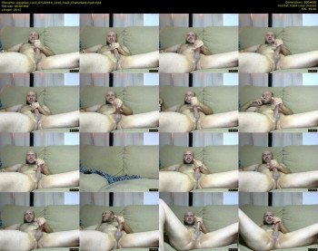 egyptian_cock