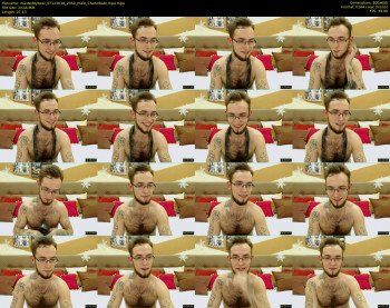 maxteddybear