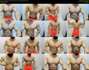 promuscles4u