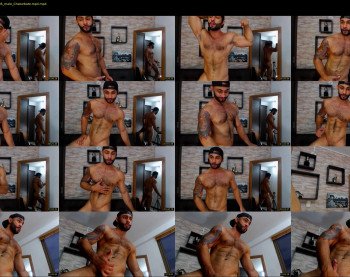 apolo_fox