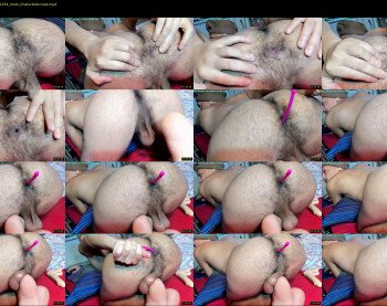 bachabazi22