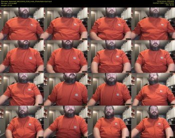 bearmad