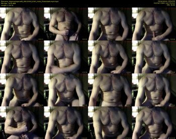 bigmusclepecs69
