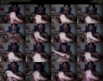 dalfox_94