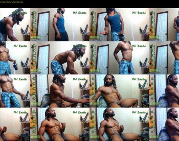 nj_exotic