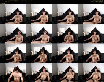 papimodels