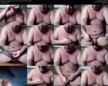tbear66