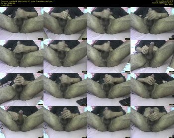 zeb85hot1