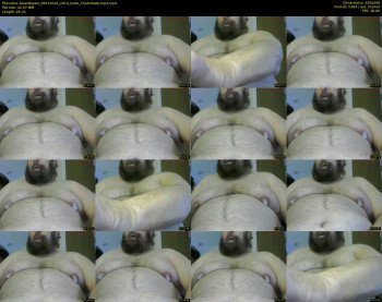 bear4bears