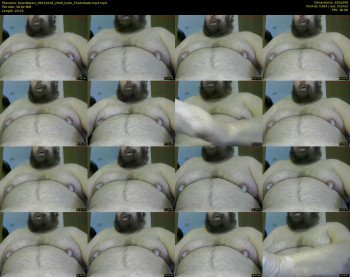bear4bears