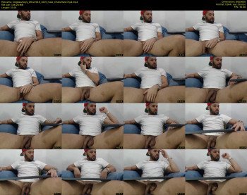 kingbearboyy