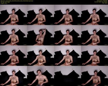 papimodels