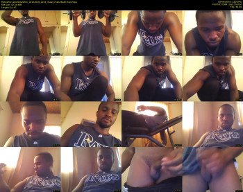 apollodarkmn