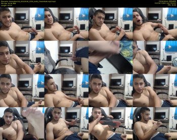 honeybear18