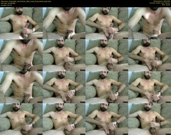 kingcat82