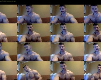 panda_muscle