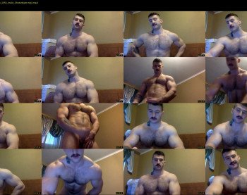panda_muscle
